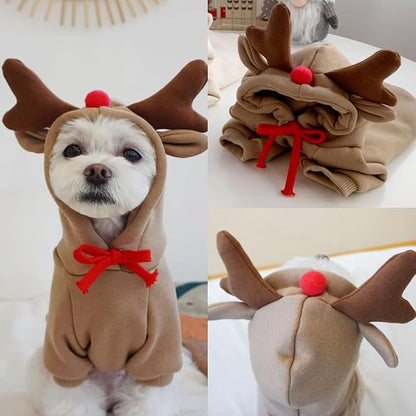 Warm Dog Winter Clothes Cute Fruit Dog Coat Hoodies Fleece Pet Dogs Costume - Image 5