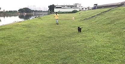 AmaGood Dog/Puppy Obedience Recall Training Agility Lead-15 ft 20 ft 30 ft 50 - Image 6