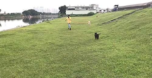 AmaGood Dog/Puppy Obedience Recall Training Agility Lead-15 ft 20 ft 30 ft 50 - Image 6