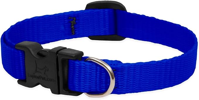 LupinePet Basics 1/2" Blue 8-12" Adjustable Collar - Image 2