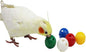 QBLEEV 5 Pack Bird Bell Balls Sets by QBLEEV
