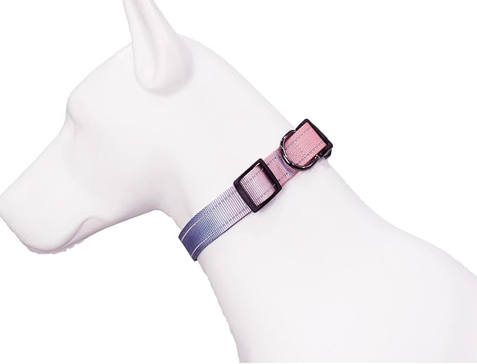 Roses&Poetry Reflective Dog Collar - Image 7