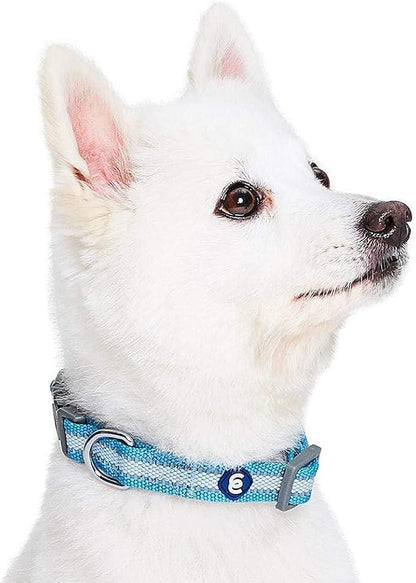Blueberry Pet Essentials Reflective Dog Collar - Image 3