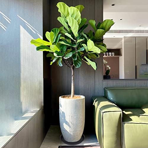 4 Pack of 14 inch Plant Saucer, Heavy Duty Plant Saucer 14 inch Round, Plastic - Image 4