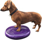 Dog Balance Disc Cushion 14" by Unknown