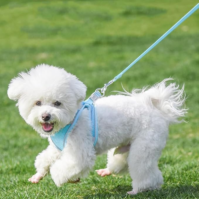 AIITLE Escape Proof Dog Harness - Image 7