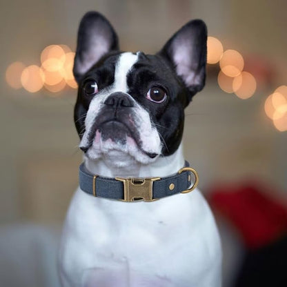 PET ARTIST Dog Collars for Medium Dogs, Soft Padded Premium Nylon Dog Collar - Image 2
