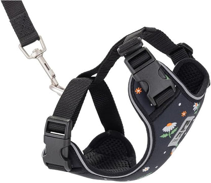 RC Pets Adventure Kitty Cat Harness | Adjustable Airmesh Vest by RCPets