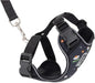 RC Pets Adventure Kitty Cat Harness | Adjustable Airmesh Vest by RCPets