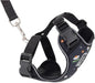 RC Pets Adventure Kitty Cat Harness | Adjustable Airmesh Vest by RCPets