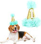 Stock Show 1st Pet Birthday Cone Hat Dogs Cats Holiday Party Hat Headwear by Unknown