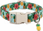 Summer Dog Collar with Tropical Pattern, Cute Dog Collar by Britwicfr