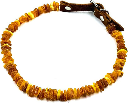 Amber Collars for Dogs & Cats - Image 8