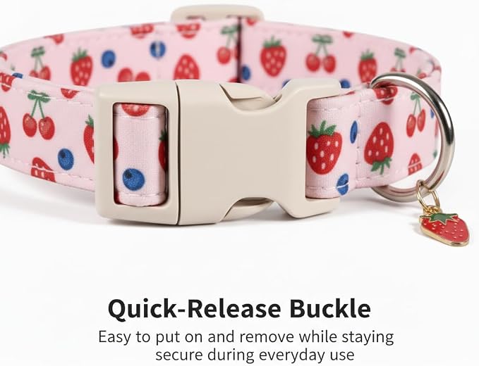Small Dog Collar, Cute Dog Collar - Image 4