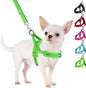 SlowTon No Pull Small Dog Harness and Leash Set, Puppy Soft Vest Harness Neck & by SlowTon