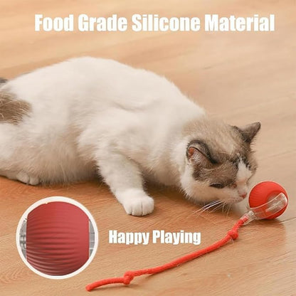 2 Packs New Electric Dog Ball Toy - Image 6