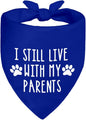 I Still Live with My Parents Blue Dog Bandana, Humor Gifts by ZBBFSCSB