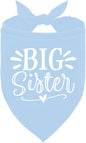 Big Sister Dog Bandanas, Light Blue Pet Scarf Accessories, Pet Triangle Scarf by ZPPRJF