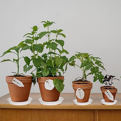 6 Pack Plant Saucer 4 5 inch, Heavy Sturdy Plant Drainage Tray - Image 3