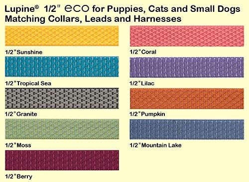 LupinePet Eco 1/2" Granite Cat Safety Collar - Image 2