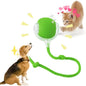 Interactive Cat Toy, Electric Dog BallToy, Cat Toys by Unknown