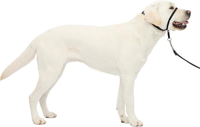 PetSafe Gentle Leader No-Pull Headcollar by PetSafe