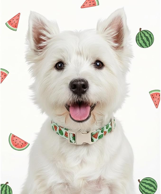 Dog Collar for Small Dogs, Summer Dog Collar - Image 8