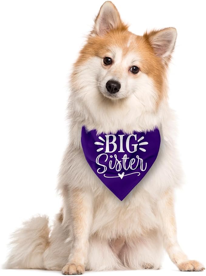 Big Sister Dog Bandanas, Pet Scarf Accessories, Pet Triangle Scarf, Dogs Bandana - Image 2