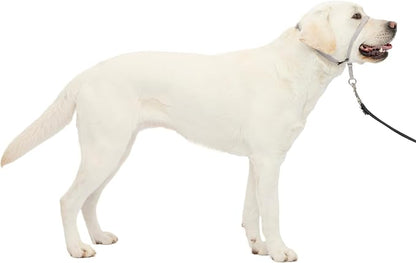 PetSafe Gentle Leader Headcollar by PetSafe