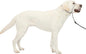 PetSafe Gentle Leader Headcollar by PetSafe