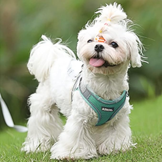 AIITLE Comfortable Dog Harness and Leash Set - Image 8