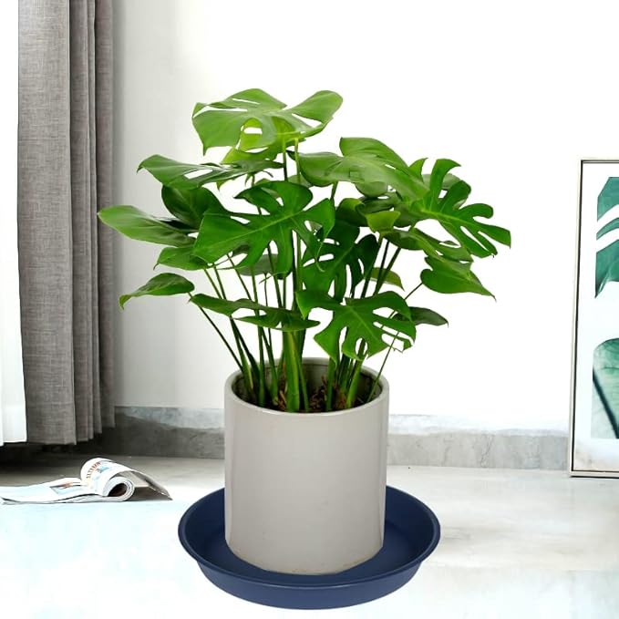 2 Pack of 20 21 inch Plant Saucer Round, Deep Plant Saucers - Image 4