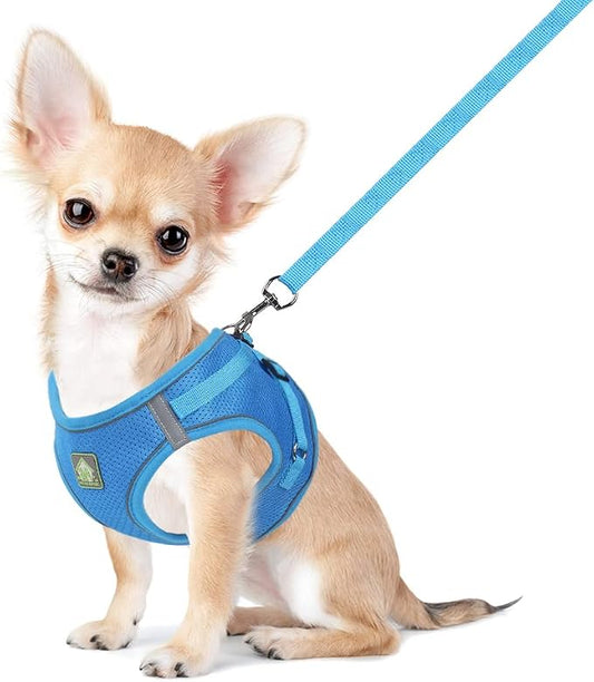 FEimaX Dog Harness and Leash Set, No Pull Breathable Soft Mesh Puppy Vest by FEimaX