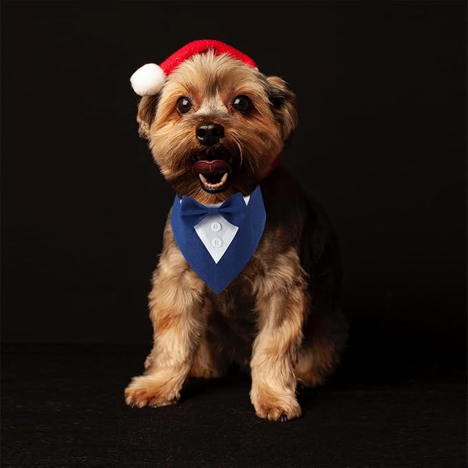 Formal Dog Tuxedo Adjustable Pet Collar - Image 7