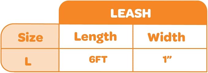 Best Pet Supplies Voyager Reflective Dog Leash or Collar - Image 4