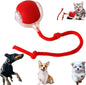 Valentines Day Gifts 2025 New Electric Dog Ball Toy, Electric Ball Dog Toy by AUTRETY