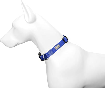 Blue Dog Collar Basic Adjustable Dog Collars - Image 4