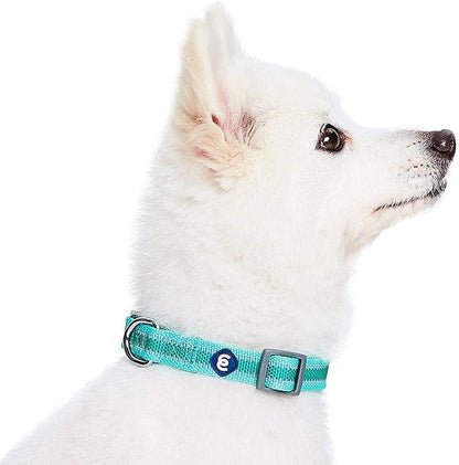 Blueberry Pet Essentials Matching Small Dog Collar | Adjustable Classic Solid - Image 4