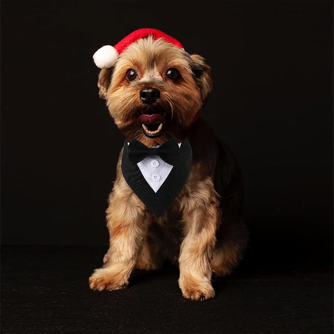 Dog Wedding Bandana, Formal Dog Tuxedo Adjustable Pet Collar - Image 6