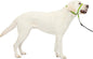 PetSafe Gentle Leader Headcollar No-Pull Dog Collar by PetSafe