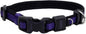 Coastal Pet - Coastal - Inspire Enhanced Core - Adjustable Collar, 5/8" x by CoastalPet