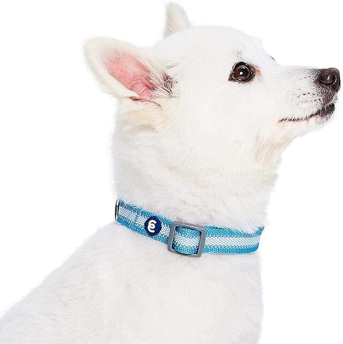Blueberry Pet Essentials Matching Large Dog Collar | Adjustable Classic Solid - Image 4