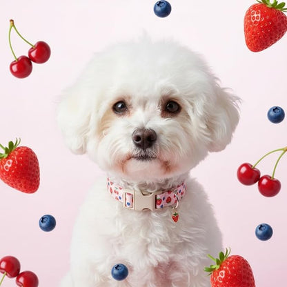 Small Dog Collar, Cute Dog Collar - Image 8