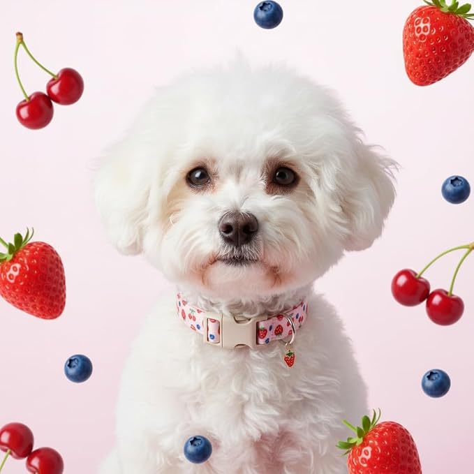 Pink Dog Collar, Female Dog Collar - Image 8