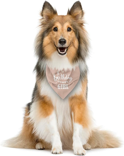 Birthday Girl Dog Bandana - Image 3