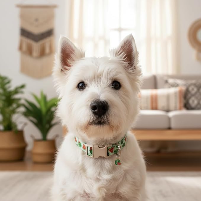 Summer Dog Collar for Large Dogs, Cute Dog Collar - Image 8
