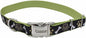 Coastal Pet - Ribbon - Adjustable Dog Collar by CoastalPet