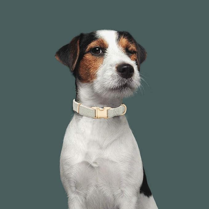 Soft Cotton Hemp Dog Collar - Image 6