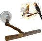 Portable Bird Perch Stand- T-Shaped Natural Apple Wood by Qimilenzy
