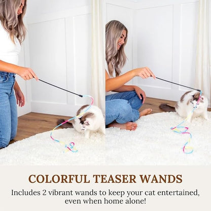 Cat Toys Set Cat Fishing Pole Retractable Wand Suction Cup & Hanging Teaser Wand - Image 4